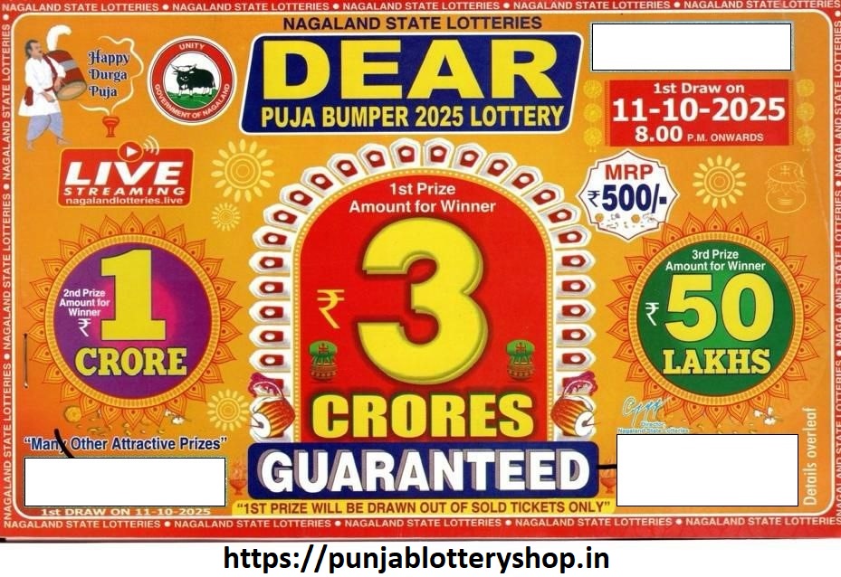 nagaland puja bumper